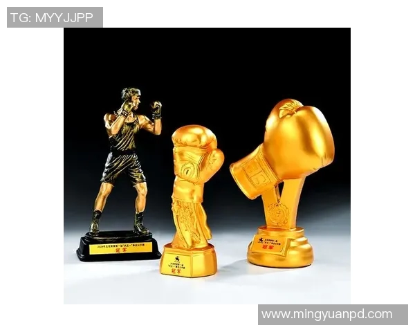 李宝明与威汉的巅峰对决谁将成为拳击界的新王者 李宝明与威汉的巅峰对决谁将成为拳击界的新王者