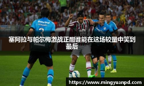 塞阿拉与帕尔梅激战正酣谁能在这场较量中笑到最后