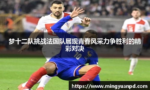 梦十二队挑战法国队展现青春风采力争胜利的精彩对决