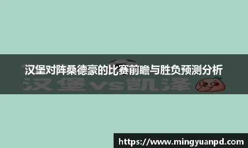 汉堡对阵桑德豪的比赛前瞻与胜负预测分析