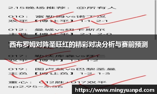 西布罗姆对阵圣旺红的精彩对决分析与赛前预测