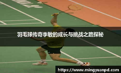 羽毛球传奇李敏的成长与挑战之路探秘