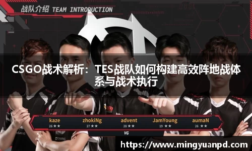 CSGO战术解析：TES战队如何构建高效阵地战体系与战术执行